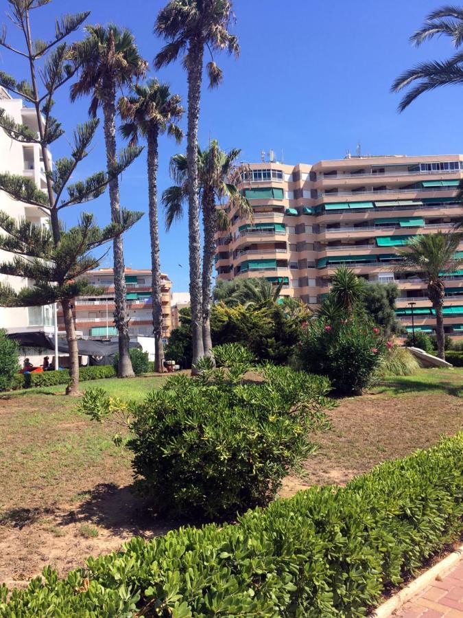 Apartmento Hana Con Terraza - Despues De La Renovacion General Torre La Mata